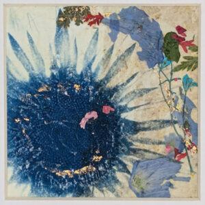 Blue Sunflower