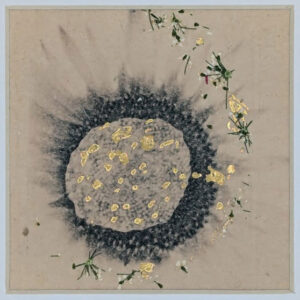 Neutral Sunflower