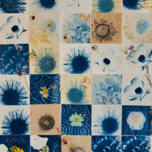 Flowers of Israel Commission