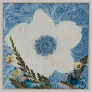 White Flower